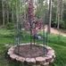 Dan Semmerling - Facebook
