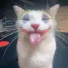 ᗪᗩᑎIՏՏᗴᗰO - @danissemo - TikTok