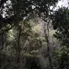 RainCloud - @dansenderegenwolk - TikTok