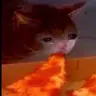 Dan Seto Is a God - @dansetoisagod - TikTok