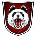 DAN SEVERN - @dan_severnfccg - Instagram