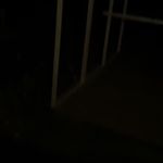 Dan reps- seward rips - @sewar_rips_reps - Instagram