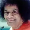daniel sforza - @daniel.sforza0 - TikTok