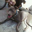 DannaD&KaliTheBlue #kalimazu - @dan_shaden - Instagram