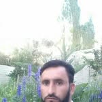 Shaheen Dan - @shaheendan40 - Instagram