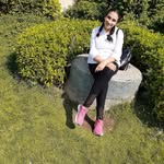 Dan Shaltot - @danshaltoot - Instagram