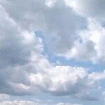 @danshal - Instagram