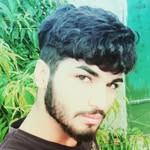 dansh.amiri - @dansh.amiri - Instagram