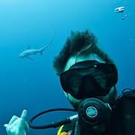 Dan Sharkey - @dan_sharkey88 - Instagram