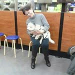 Dan Sharkey - @sharkeydf - Instagram
