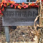 Dan Sharratt - @singletreefarmllc - Instagram
