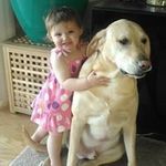 Dan Shaver - @shaverdan01 - Instagram