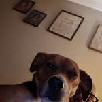 Dan Shaver - @dansc.ool - Instagram