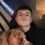 Dan Shearing - @dan_shearing - Instagram