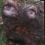 Dan Sheldon - @d_m_sheldon - Instagram
