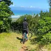 danielsheldon - @daniel.sheldon - TikTok