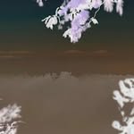 Dan shepard - @dan_doesnt_care_anymore - Instagram