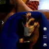 Renee N Dan Shepard - @renee.n.dan.shepa - TikTok