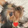 danitashippglover - @danitashippglover - TikTok