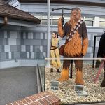Dan Shook - @dan.shook - Instagram
