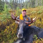 Dan Shook - @danshook71 - Instagram