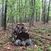 Daniel Showalter - Facebook