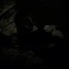 danshowshans - @danshowshans - TikTok