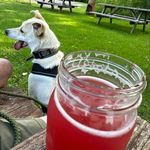 Dan Sicard - @sicarddan - Instagram