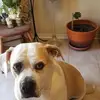 dansikora830 - @dansikora830 - TikTok