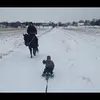 Simon Daneau - @simondaneau - TikTok