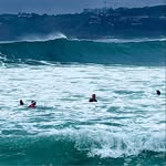 Dan Simonelli - @dan.swimonelli - Instagram