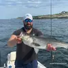 Daniel Simonelli - @danielsimonelli39 - TikTok