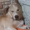 Daniela Simonelli - @daniela.simonelli - TikTok