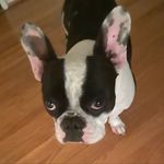 Dan Simons - @djs9084 - Instagram