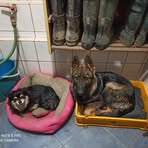 Daniel Šindelář - Facebook