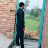 Dansingh - @dansingh0957 - TikTok