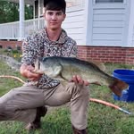 Daniel Singletary - @dsingletary27 - Instagram