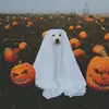 dani |-/ - @dani.sinner - TikTok