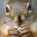Dan Sisler - Facebook
