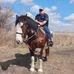 Daniel Sisler - Facebook