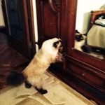 Dan Sitterli - @dansitterli - Instagram