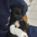 @dan_sitterrr - Instagram