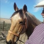 Dan Skaggs - @dan_skaggs - Instagram