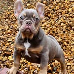 Danny Skillman - @danny.skillman.3 - Instagram