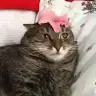 Dan Sklarevich - @dansklarevich - TikTok