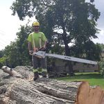 dan slack - @treedann__ - Instagram
