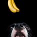Daniel Smelser - Facebook