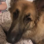 Dan Smithers - @dan.smithers.3367 - Instagram