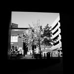 Dan Smyth - @danjsmyth - Instagram