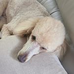 Dan Sobol - @dan_s0513 - Instagram
